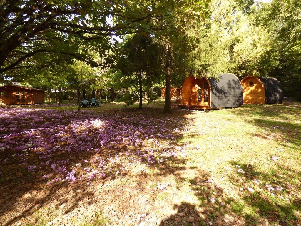 La Rossignolerie - Pod Cabanes Des Chateaux Chouzy-sur-Cisse Dış mekan fotoğraf