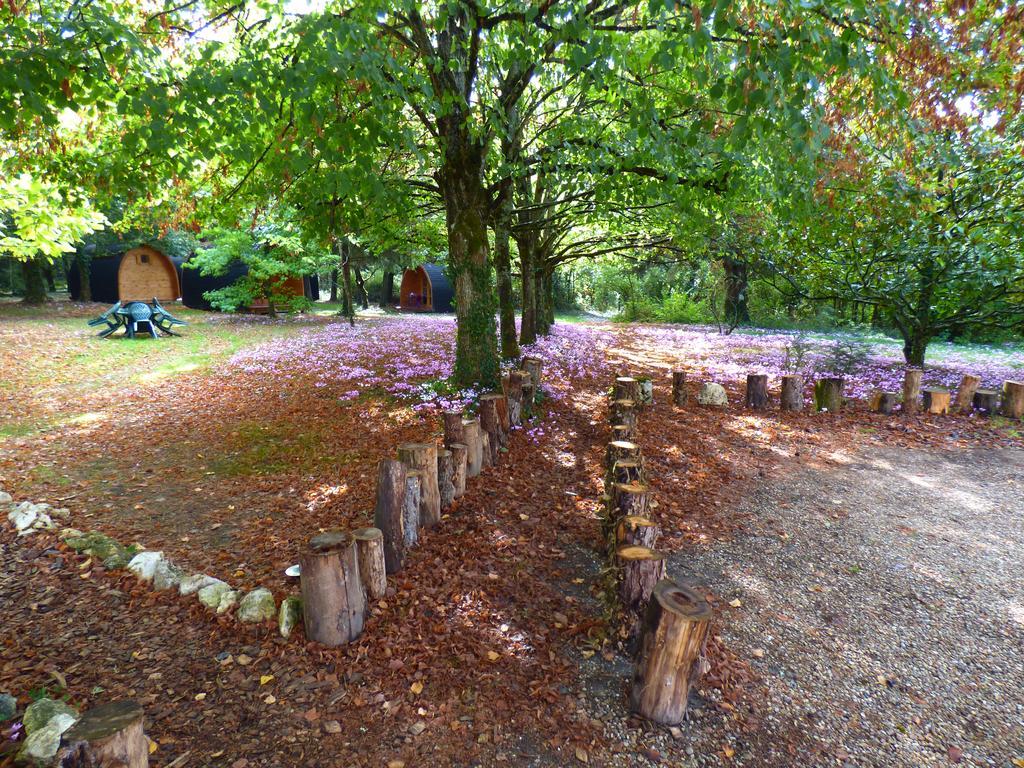 La Rossignolerie - Pod Cabanes Des Chateaux Chouzy-sur-Cisse Dış mekan fotoğraf
